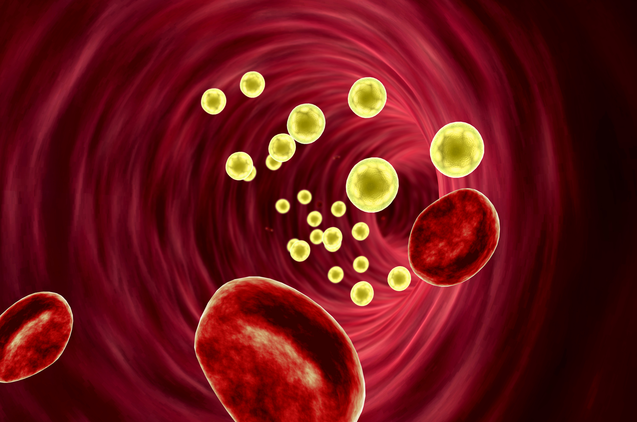 Иммунные белки крови. Клетки крови в сосуде. Клетки крови внутри сосуда. Холестерин в эритроцитах.