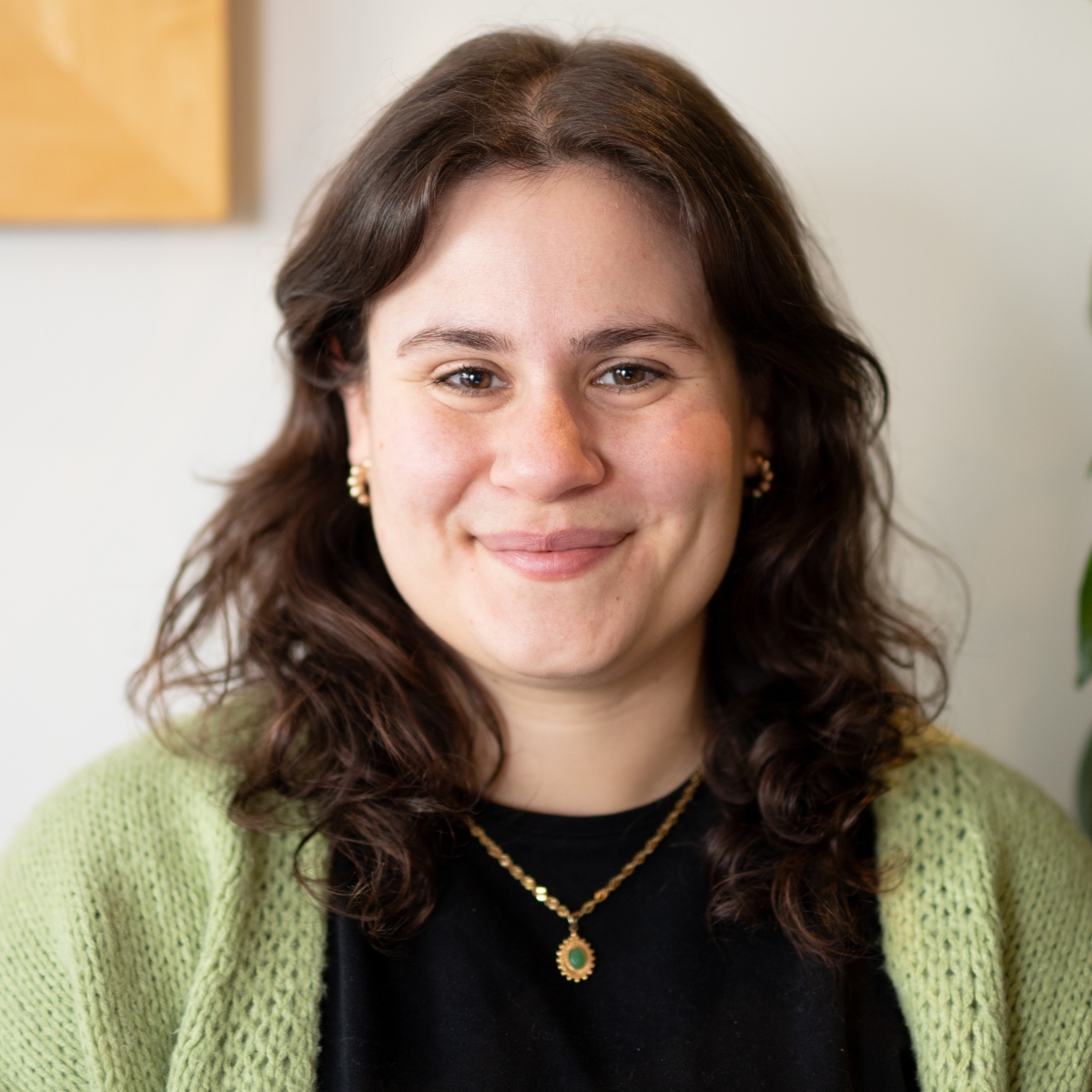 Background with the CCNA leaf