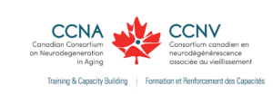 Training and Capacity Building Header Logo
